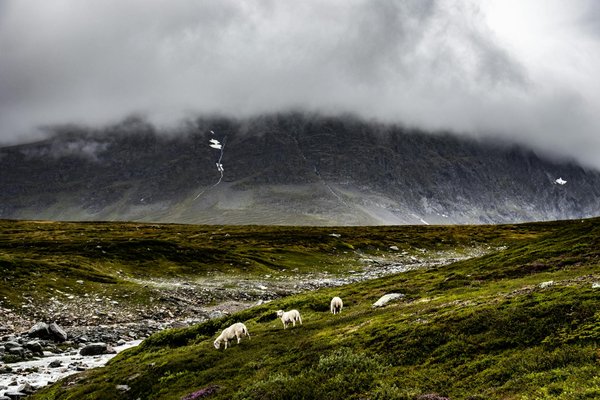 Destination Parfaite