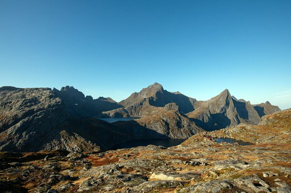 Où trouver les meilleures expériences de plongée sous-marine dans les îles Phi Phi en Thaïlande?